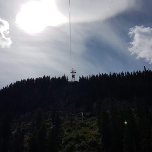 Meet your Posher, Aleeza - Picture 1 of 1